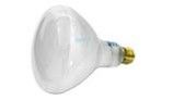 Hayward Bulb | 400W 110V G/FL | SPX0503Z5