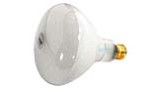 Hayward Replacement Bulb | 500W 120V R-40 Medium Base | SPX0504Z7