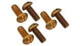 Hayward Securing Rim Screw | Set of 6 | SPX0503Z76