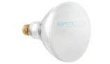 Hayward R40 Reflector Flood Warm White Pool Light Incandescent | 120V 400W | R40FL400/HG 104038