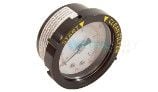 Pentair Pressure Gauge with Indicator | Rear Mount | 0-60 PSI | 190059 190059Z