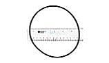 Pentair Closure O-Ring Triton II White | 154493 | 154493Z