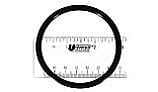 Pentair Bulkhead O-Ring 2" 3 Req | 154492