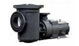 Pentair EQK1500 Series 15HP Nema Premium Efficiency 3-Phase Pool Pump with Strainer 208-230-460V | 340035