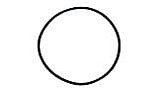 Pentair EQ Series Diffuser O-Ring | 350037