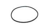 Pentair EQ Series Strainer Lid Gasket | 1" | 350166 350166Z