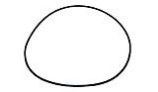 Polaris Seal Plate O-Ring Halcyon | P85