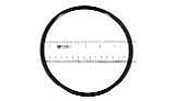 Pentair C Series Flange O-Ring | 071423 P24050