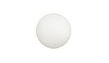Pentair Rainbow 1" Poly Check Ball for HC Series Chlorinator | R172435