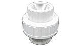 Pentair Rainbow 1" Threaded Union HC Series Chlorinator | R270531