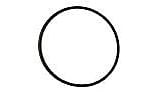 Pentair Rainbow Chlorinator Lid O-Ring | R172240Z