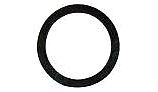 Raypak Heater Element Gasket | 800164