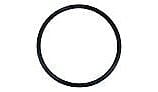 Rainbow Chlorinator Lid O-Ring R172009 | O-283V-9