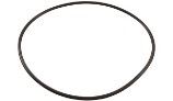 PLBC Seal Plate Clean & Clear Tank O-Ring | O-343-9