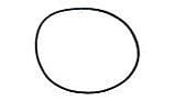 Pentair Cord Ring | 27001-0060S
