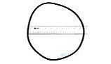 Pentair O-Ring | Black | WC9-3