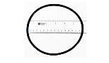 Pentair O-Ring Seal Plate | 35505-1438