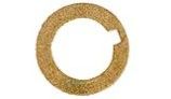 Pentair Gasket Seal 29/32"IDx1" | C20-101
