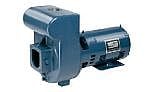 Sta-Rite D-Series 5HP Standard Efficiency Single Phase Commercial Pool Pump 230V | DMJ-172
