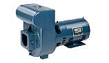 Sta-Rite D-Series 5HP Standard Efficiency Single Phase Commercial Pool Pump 230V | DHJ-170