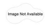 PENTAIR R172020 CHECK VALVE